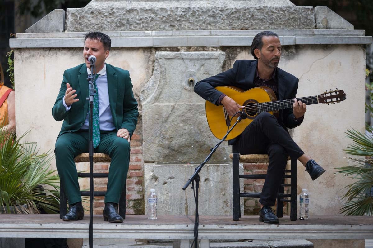 El flamenco albaicinero, en imágenes