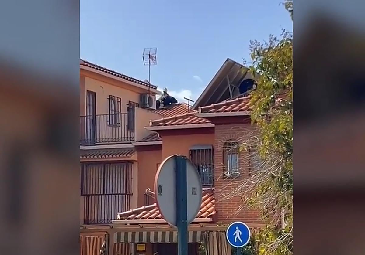 El vídeo de la captura de un hombre armado en un tejado de Granada