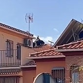 El vídeo de la captura de un hombre armado en un tejado de Granada