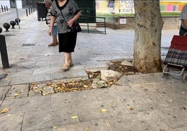 Ejemplo de los desperfectos en el barrio de Peñamefécit.