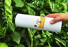 Agrobío pone en el mercado el producto más avanzado contra Araña roja