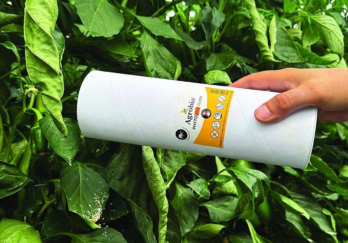 Agrobío pone en el mercado el producto más avanzado contra Araña roja