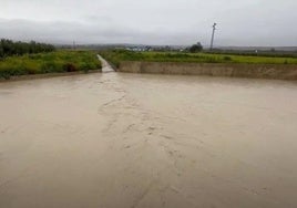 El parque inundable absorbe el agua de arroyo El Encantado