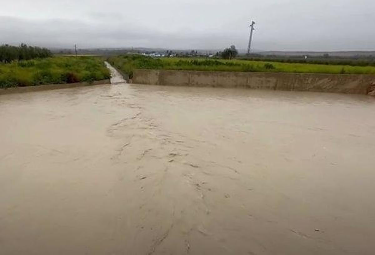 El parque inundable absorbe el agua de arroyo El Encantado