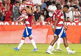 Neva se dirige a la grada.