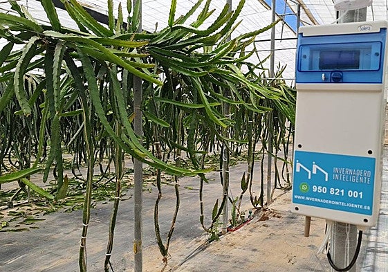 La tecnología de Invernadero Inteligente, pieza clave en la finca experimental UAL-Anecoop