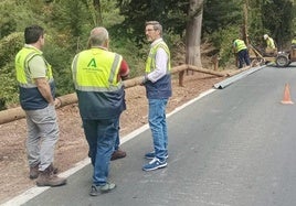 Miguel Contreras visita las actuaciones que se ejecutan en la A-319.