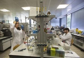 Investigadores de la UGR trabajan en uno de sus laboratorios.