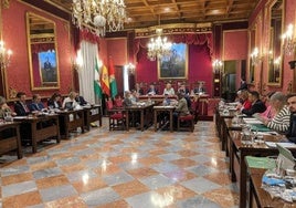 Imagen de archivo de un pleno en el Ayuntamiento.