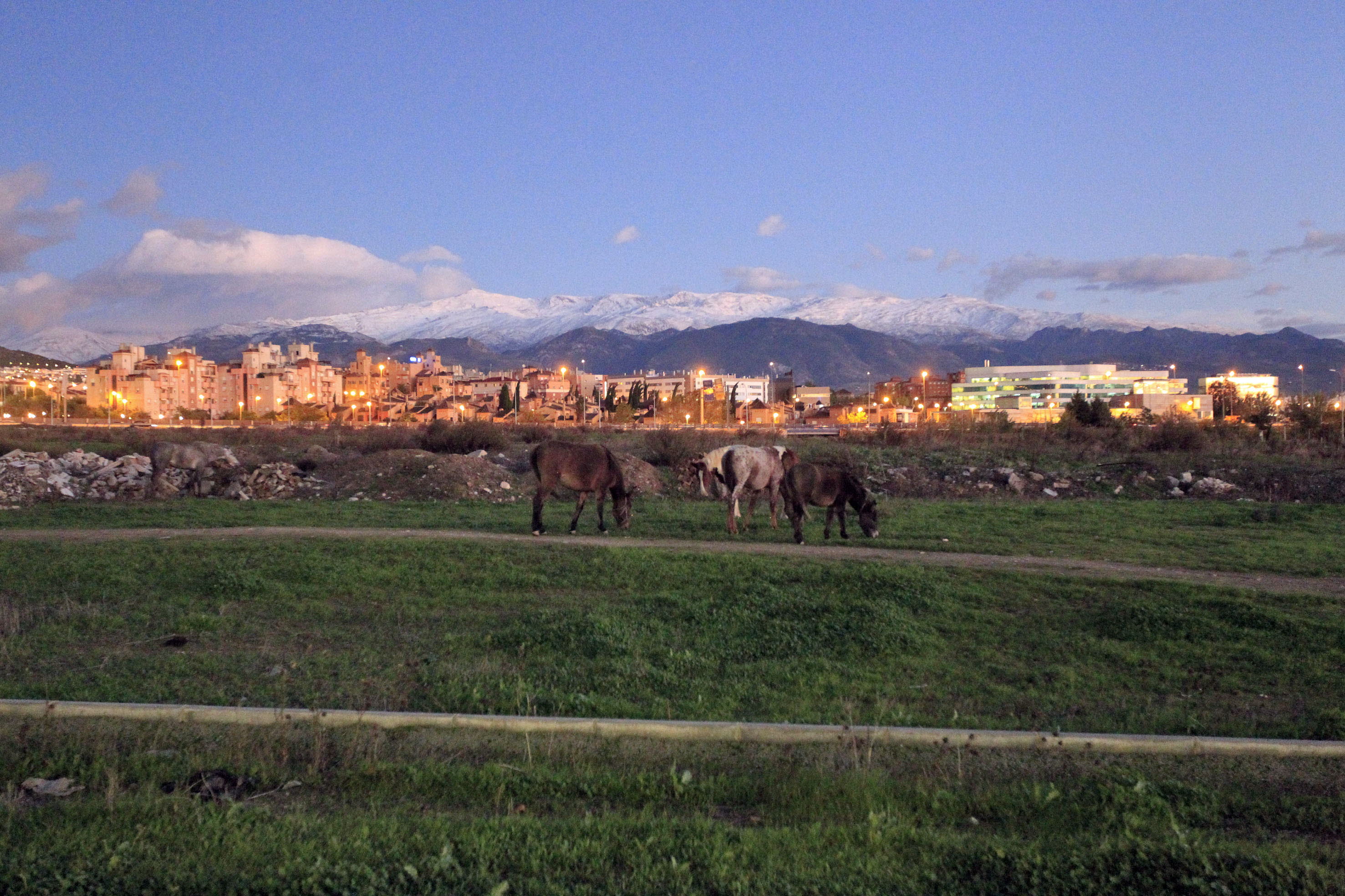 Una estación en el Cerrillo de Maracena