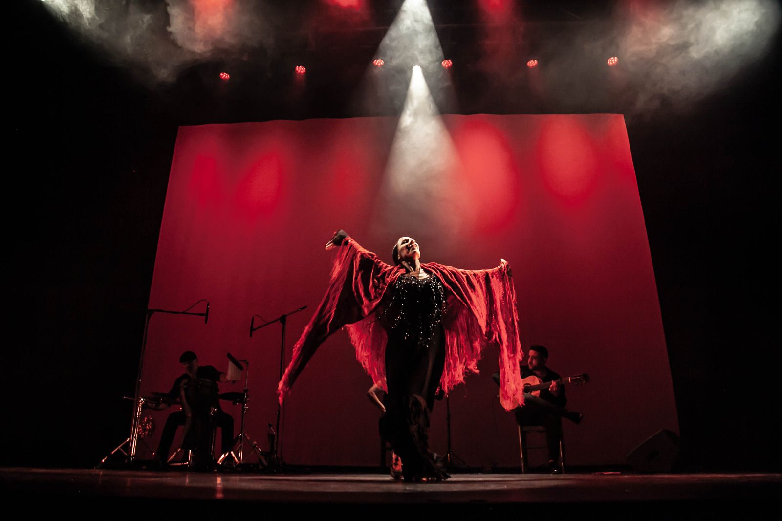 Gala &#039;Hagamos comunidad&#039; de Cruz Roja en el Teatro Cervantes