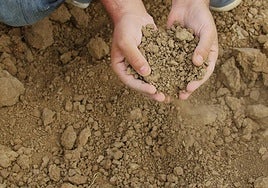 La Junta aprobará una línea de ayudas para las explotaciones afectadas por sequía extrema