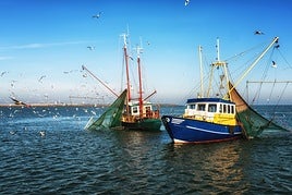 Barcos de pesca andaluces faenando con sus redes de captura.