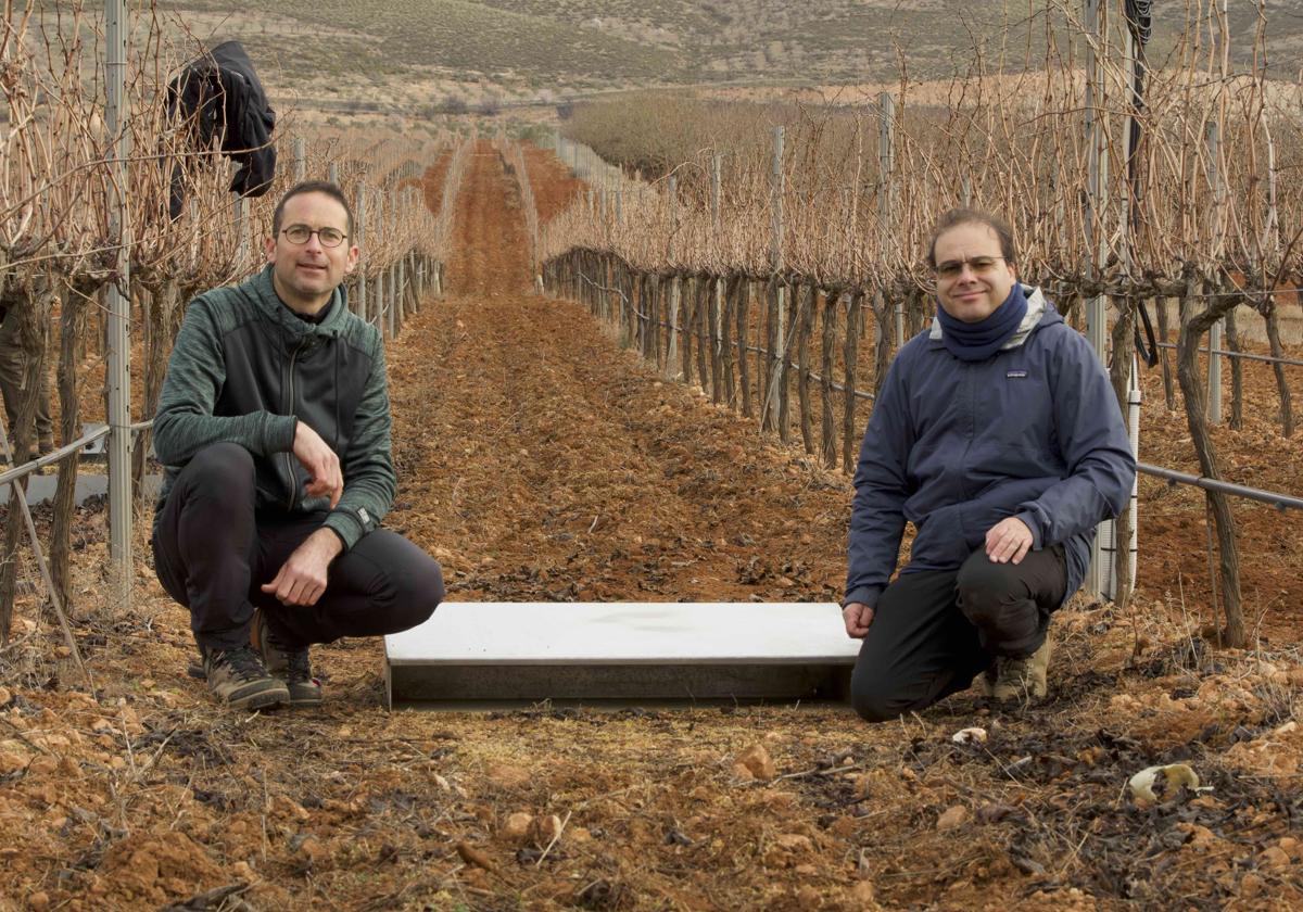 El equipo, liderado por Jesús Fernández Gálvez y Joseph Pollacco (MWLR, Nueva Zelanda) ha desarrollado un modelo que divide con precisión el flujo de agua entre los macroporos y la matriz del suelo.