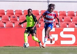 Al Granada se le escapan los puntos en la recta final