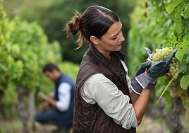 Fernández-Pacheco alumbra 130 millones de ayudas publicas para jóvenes agricultores