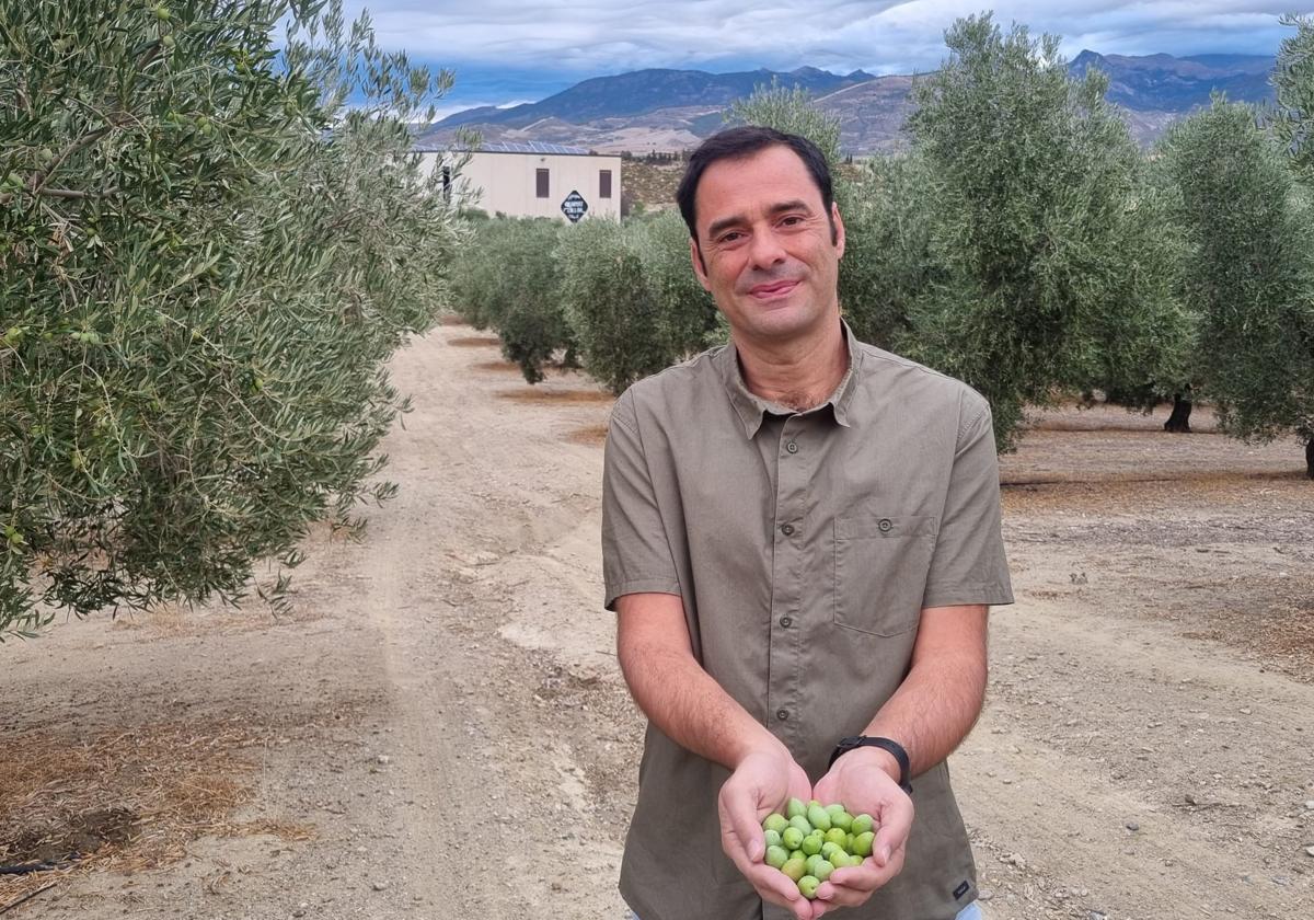 Antonio Velasco en su olivar.