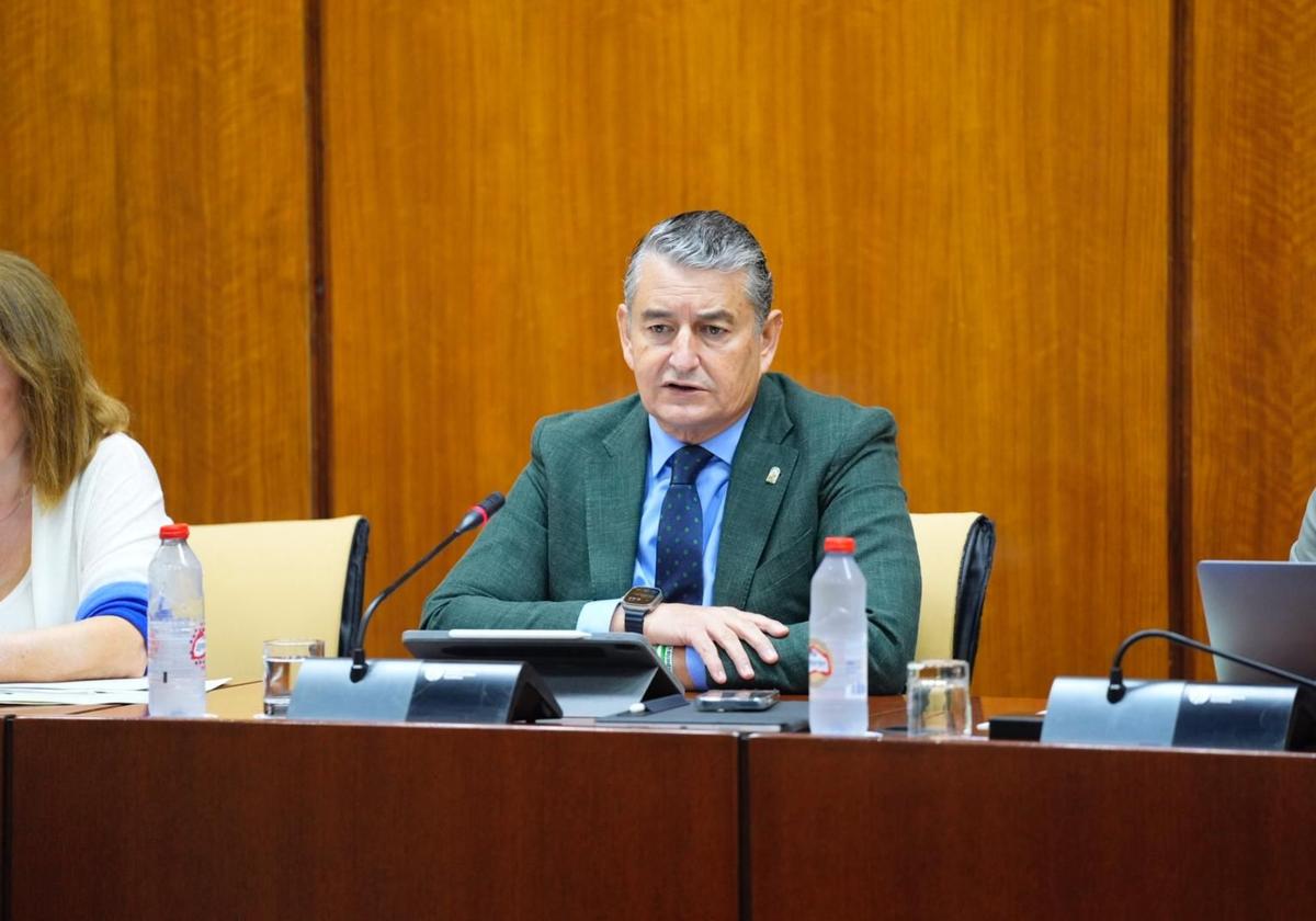 El consejero de la Presidencia, Antonio Sanz, ayer en el Parlamento.