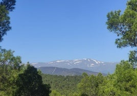 Paisaje forestal en el Parque Nacional de Sierra Nevada desde el puerto de La Ragua.