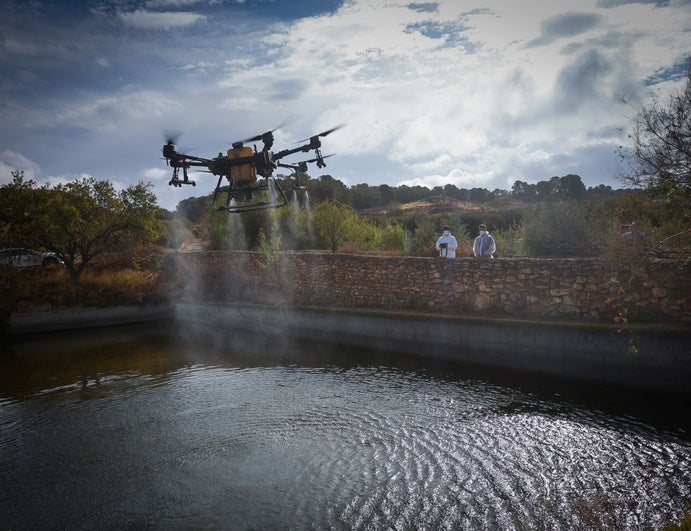 El dron del proveedor de Biofima tratando una balsa de Alcudia contra el mosquito que transmite el virus del Valle del Nilo.