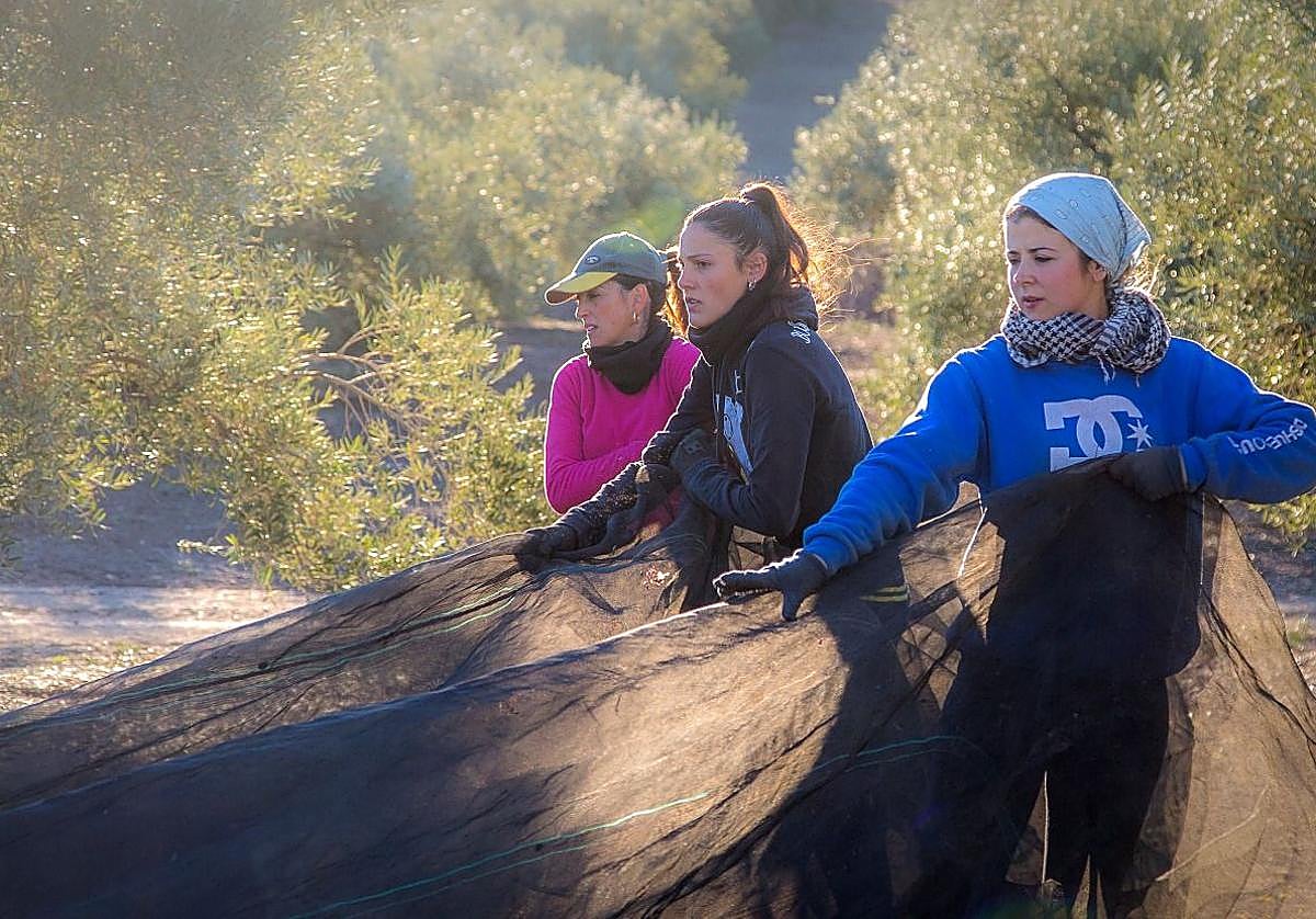 El Estatuto de las Mujeres Rurales y del Mar las sitúa en el centro del debate agrario de Andalucía