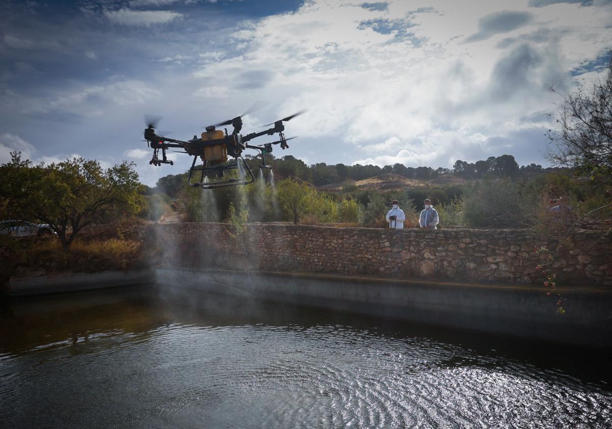 De los imbornales a los drones: Un día en la lucha contra el mosquito del Nilo