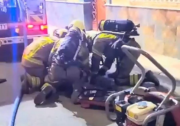 Bomberos de Granada intantan salvar a un gato tras un incendio.