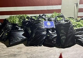 Interceptan una furgoneta en El Puche con más de 175 kilos de marihuana en 22 bolsas
