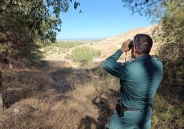 Imágenes de una de las zonas donde se busca la avioneta.