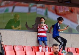 Zinedine Zidane en un palco de Los Cármenes.