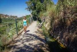 Parte de la ruta de la Acequia del Albaricoque.