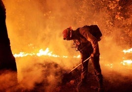 Acaba la temporada de incendios en Almería: 2.795 hectáreas quemadas, la gran mayoría matorral