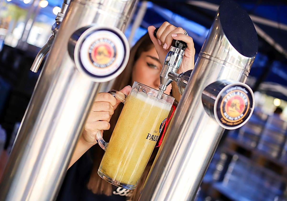 La Universidad de Harvard desvela los los beneficios y problemas de consumir cerveza de forma moderada.