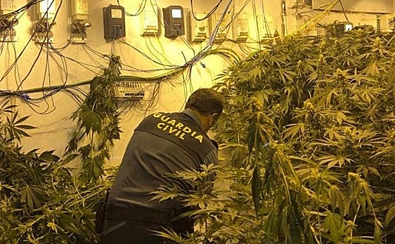 Incautación de marihuana en una imagen de archivo.