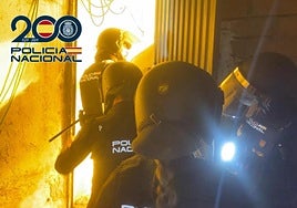 Operación contra el cultivo de marihuana en Torrecárdenas