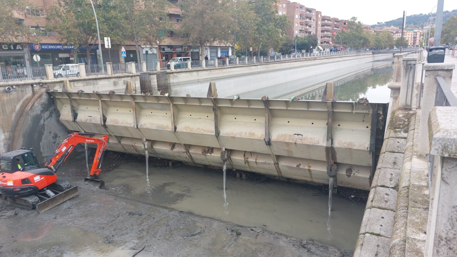 Limpieza del río Genil.