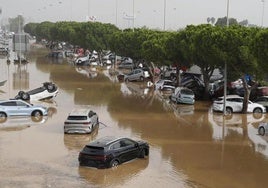 Contra la naturaleza no hay quien pueda