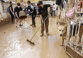 Labores de limpieza de la localidad Alfafar.