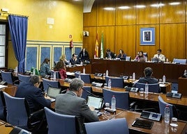 Comisión de Fomento celebrada este martes en el Parlamento.