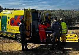 Policía Local y servicios sanitarios del 061 atendiendo a la herida sobre el terreno.