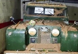 Sísifo de los troncos retorcidos