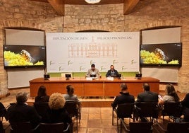 Proyección de los vídeos promocionales del Parque Natural de Cazorla, Segura y las Villas.