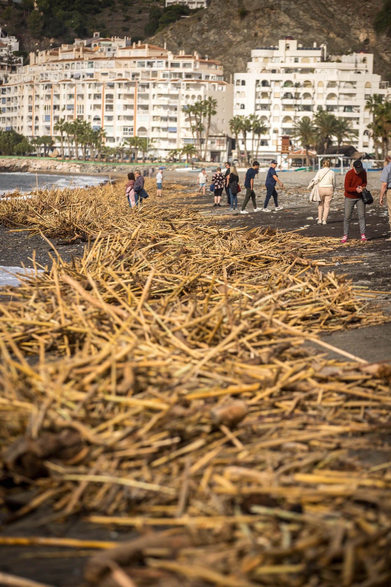 Los efectos del temporal en la Costa de Granada, en imágenes