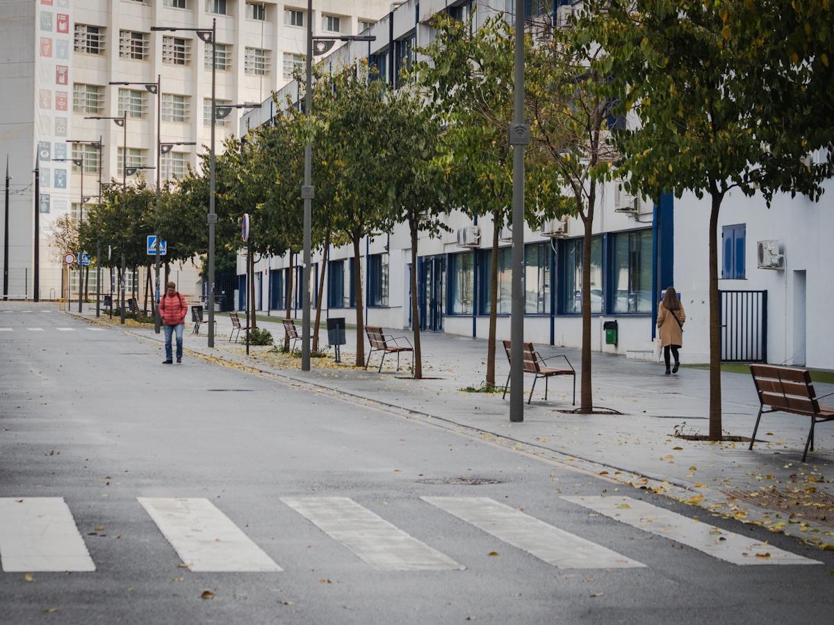 Las imágenes de Granada sin clases y sin tormentas este jueves