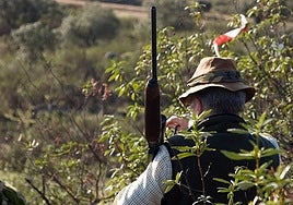 Imagen de archivo de un cazador durante una montería.
