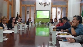 Imagen de la reunión del Consejo Asesor de Cooperación