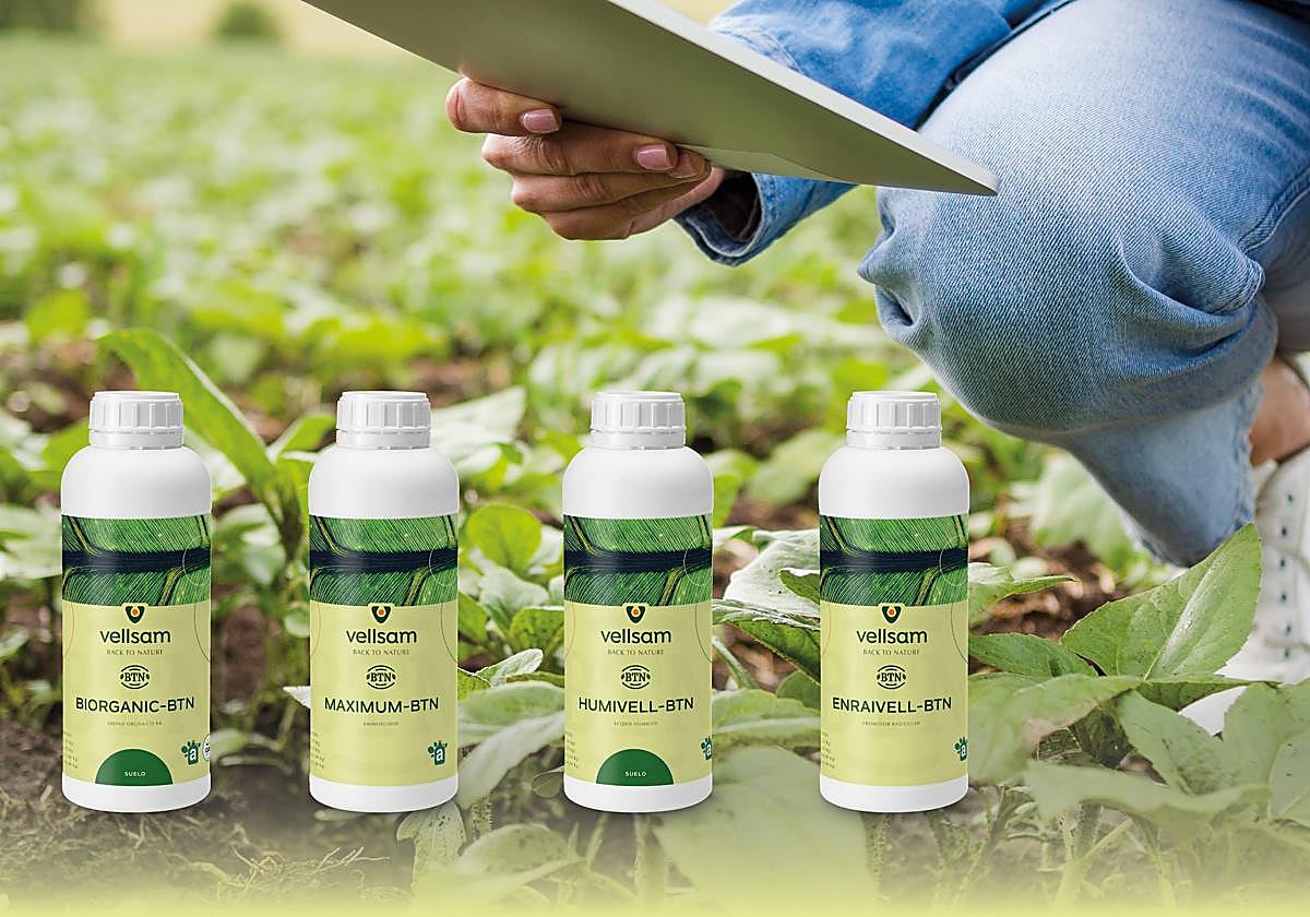 Vellsam presenta 'Back to Nature', la revolución tecnológica que reconecta con la tierra