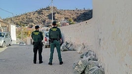 Operación en Pinos Puente hace una semana.