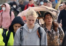 Voluntarios en Valencia.
