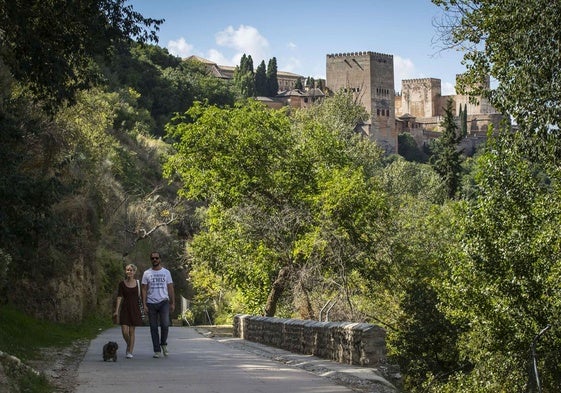 El Camino del Avellano es una ruta recurrente a un paso del centro de Granada.